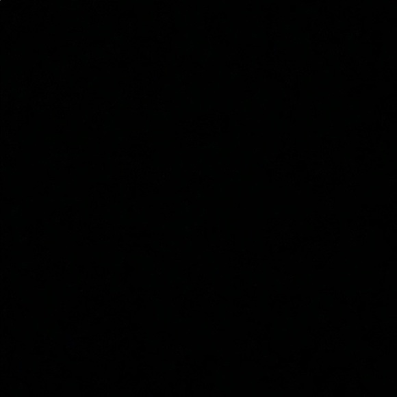 Meet your Posher, Peyton - Picture 1 of 1